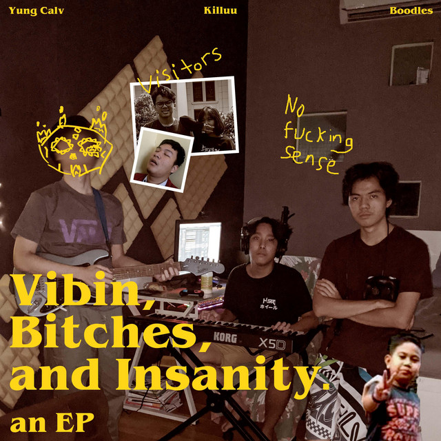 Vibin, Bitches and Insanity cover art