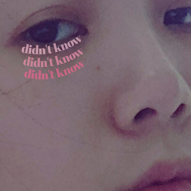 didn't know cover art