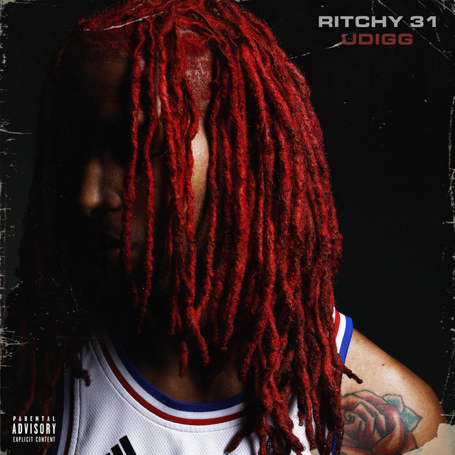 Udigg cover art