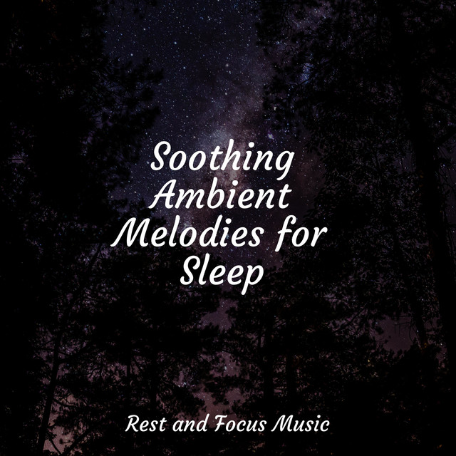 Soothing Ambient Melodies for Sleep - Album by Relaxed Minds | Spotify