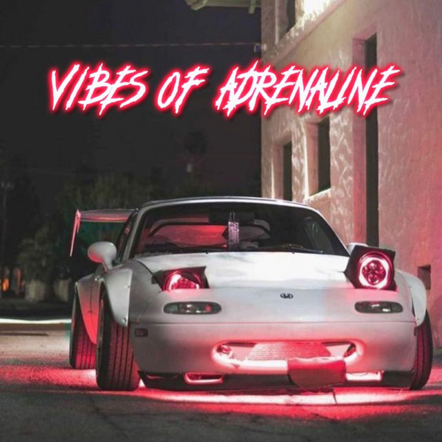 VIBES OF ADRENALINE