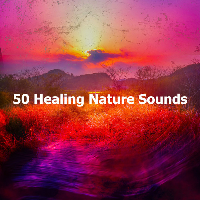 50 Healing Nature Sounds - Album by Relax Meditation Sleep | Spotify