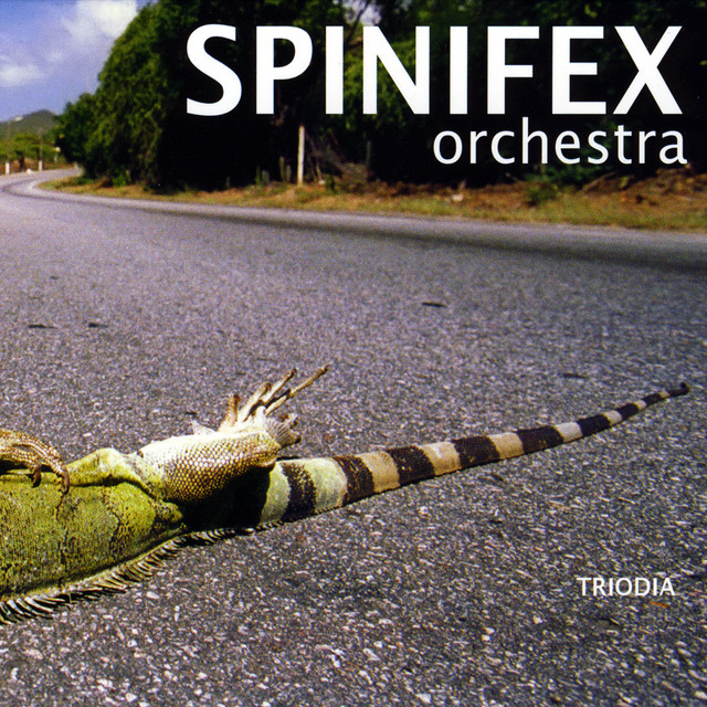 Spinifex Orchestra Photo