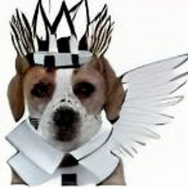swear to god(dog) im so Fly yuh #xul cover art
