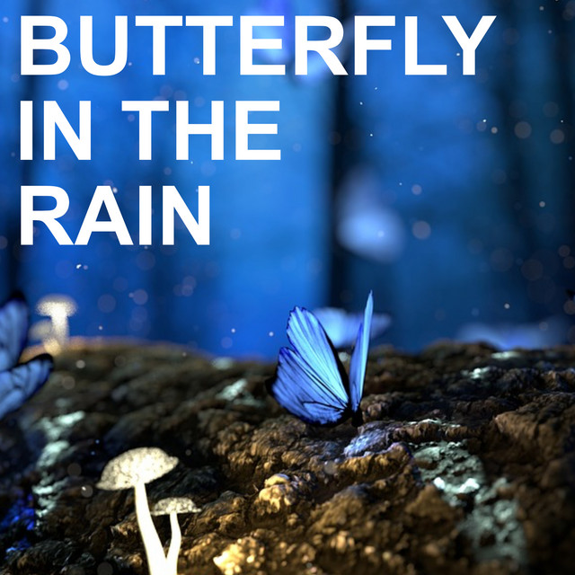 Butterfly in the Rain cover art