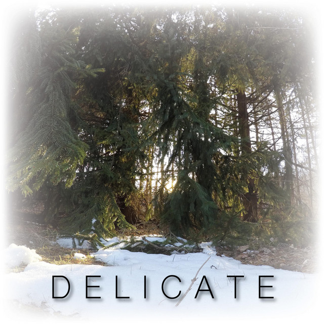 Delicate cover art