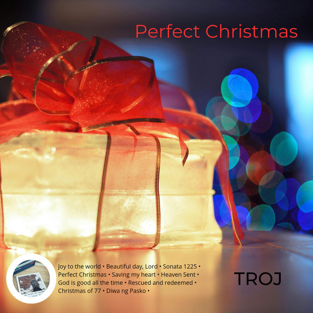 Perfect Christmas cover art