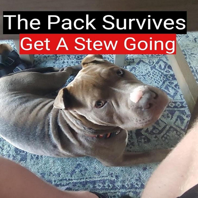 Get a Stew Going - Single by The Pack Survives | Spotify