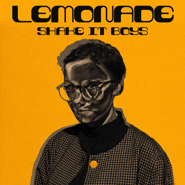 Shake It Boys cover art