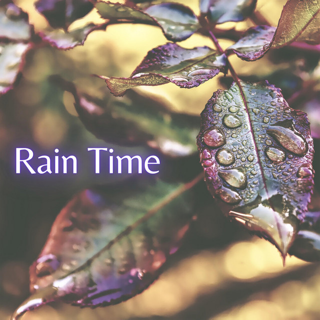 Rain Time cover art