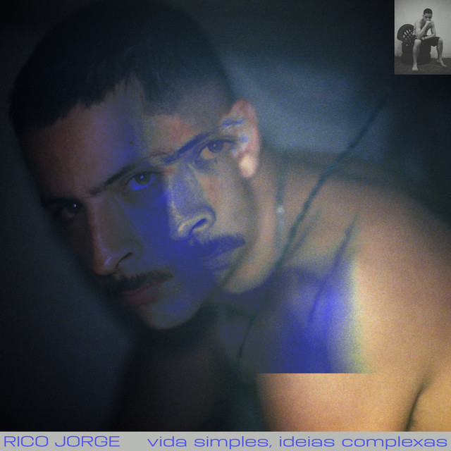 Sem Ver cover art