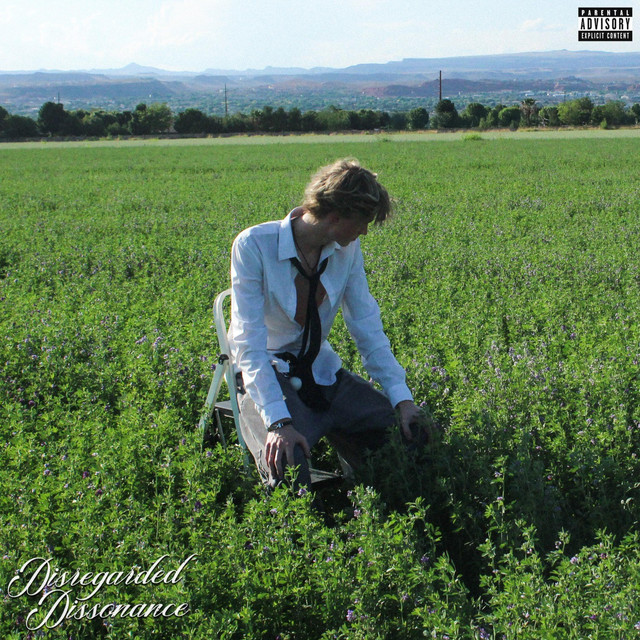 Disregarded Dissonance cover art