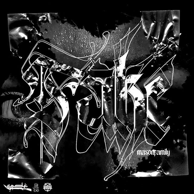 FAKE cover