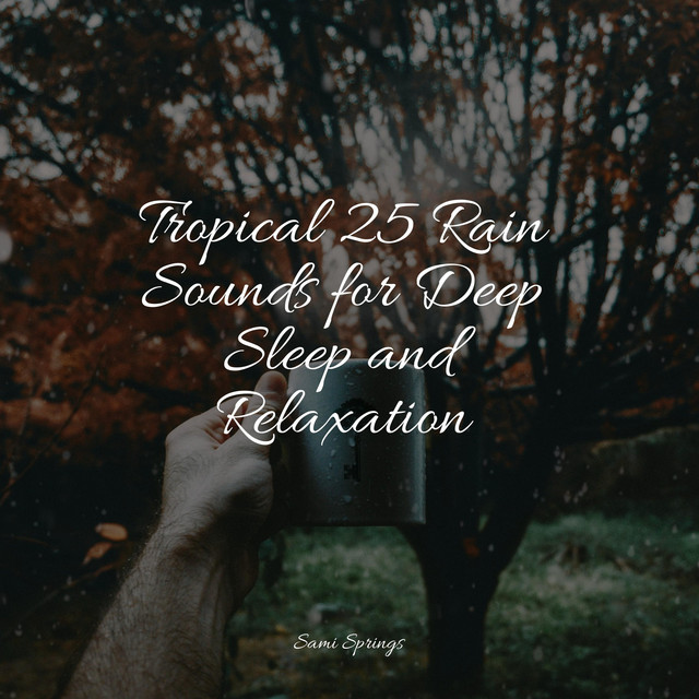 Tropical 25 Rain Sounds for Deep Sleep and Relaxation - Album by Music ...