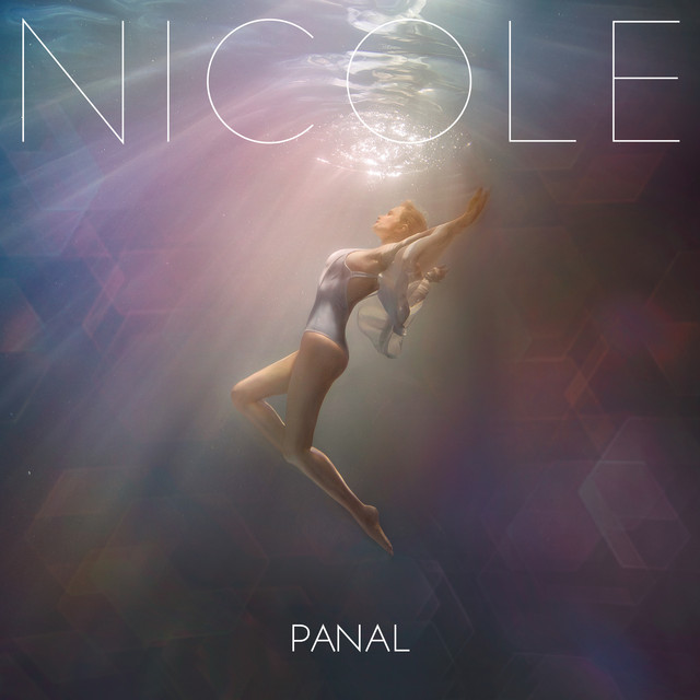 Panal cover art