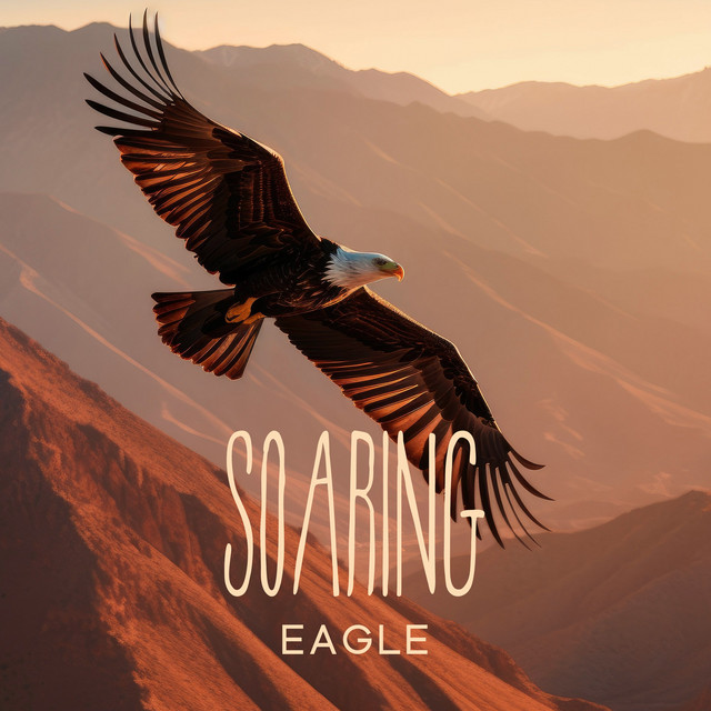 Soaring Over Grand Canyon cover art