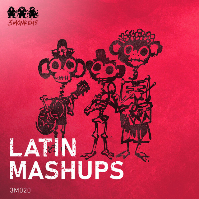 Latin Mashups cover art