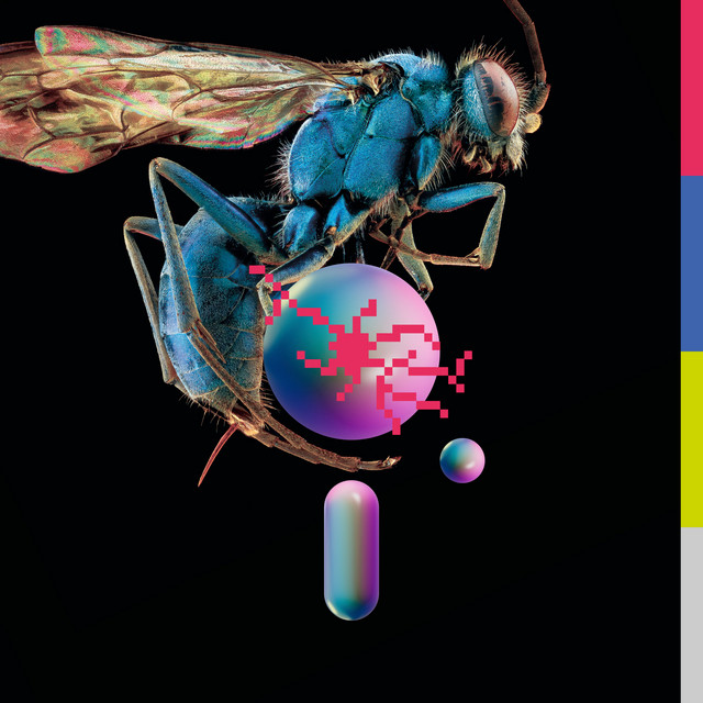 Hive cover art