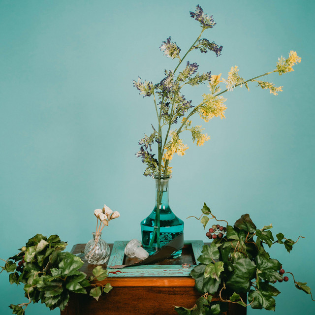 Facing cover art