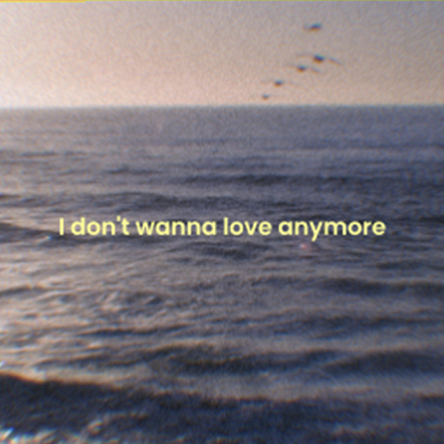 I don't wanna love anymore