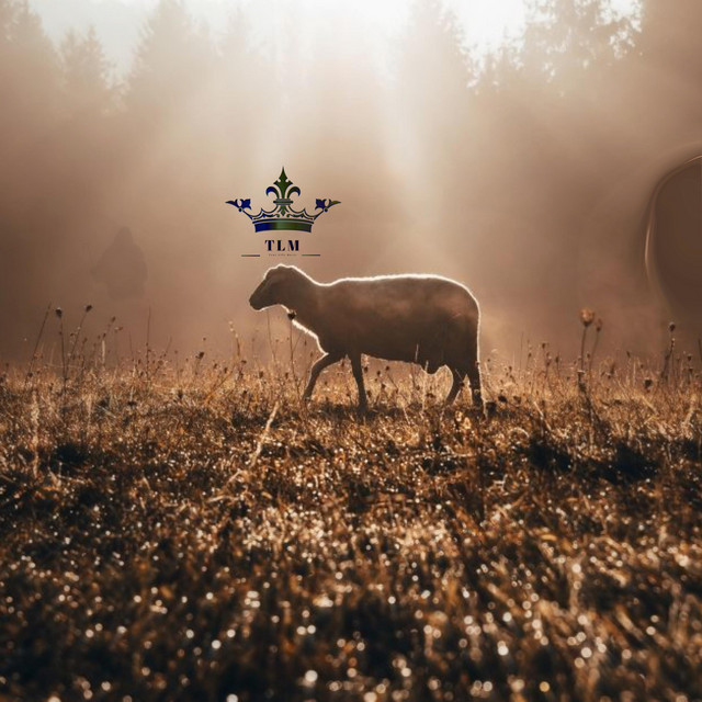 Parable One: Lost Sheep cover art