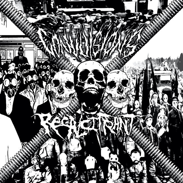 Recalcitrant cover art