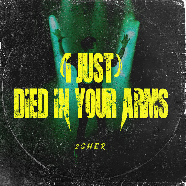 (I Just) Died in Your Arms