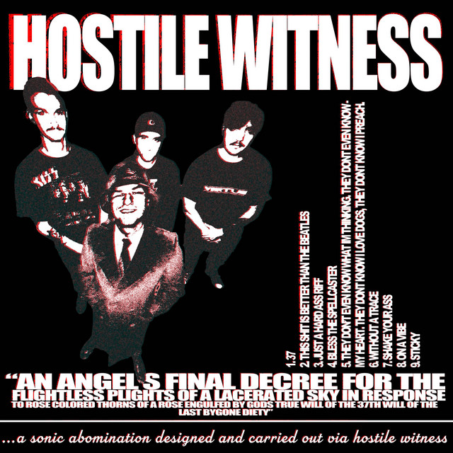 A SONIC ABOMINATION DESIGNED AND CARRIED OUT VIA HOSTILE WITNESS cover art