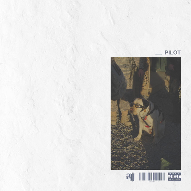 PILOT cover art