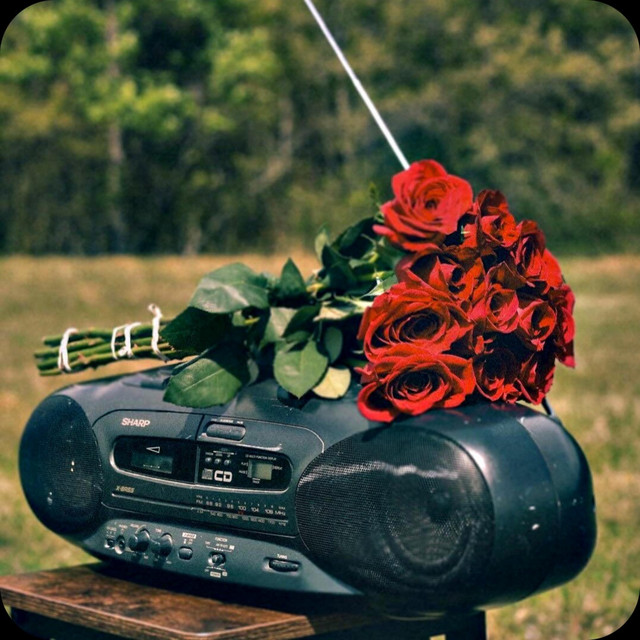 undefined album image