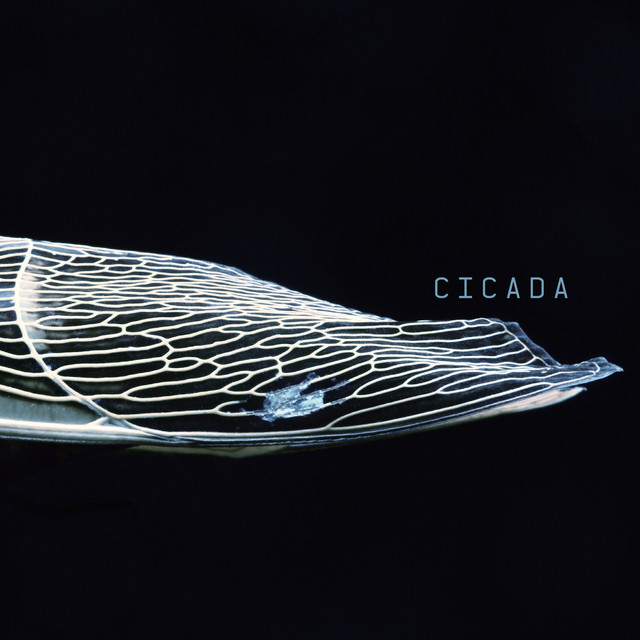 CICADA cover art