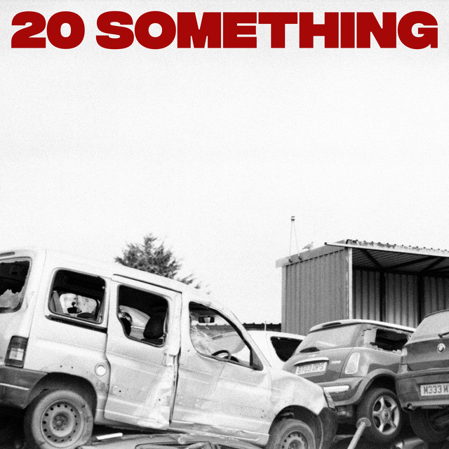20 Something - Single by The Native | Spotify