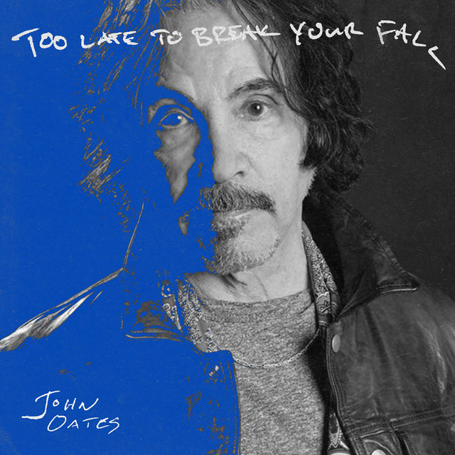 Too Late to Break Your Fall cover art