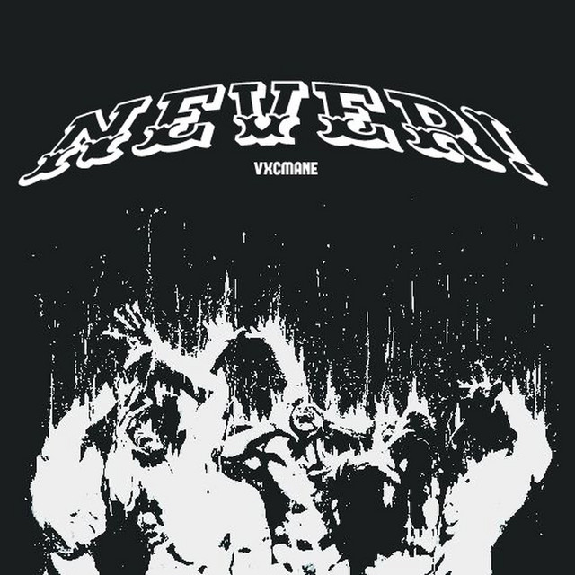 NEVER! cover art