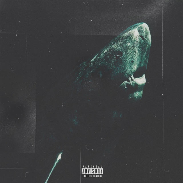 ERA cover art