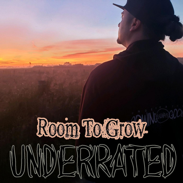 Room to Grow cover art