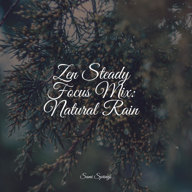 Zen Steady Focus Mix: Natural Rain - Album by Relaxing Mindfulness ...
