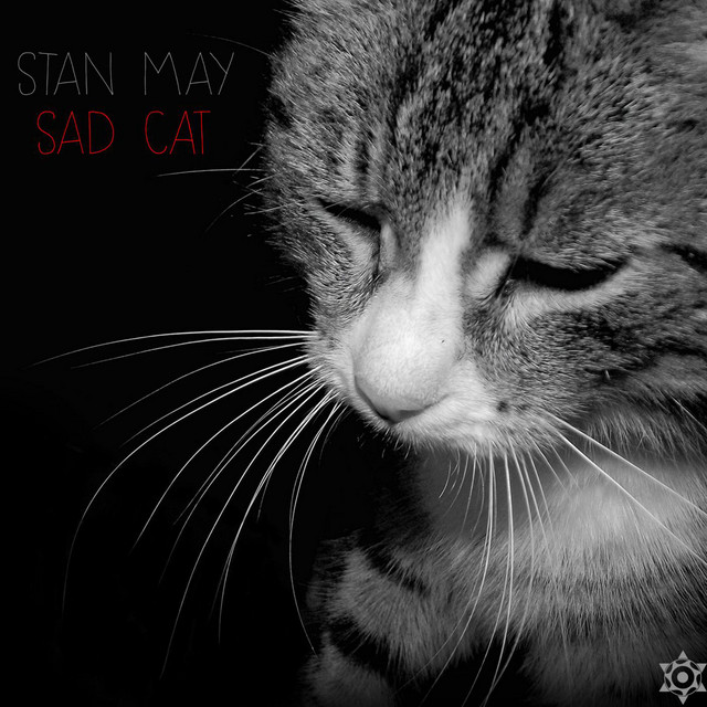 Sad Cat – Álbum de Stan May | Spotify