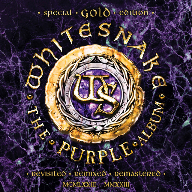Cover du titre Soldier of Fortune (feat. Joel Hoekstra & The Hook City Strings)