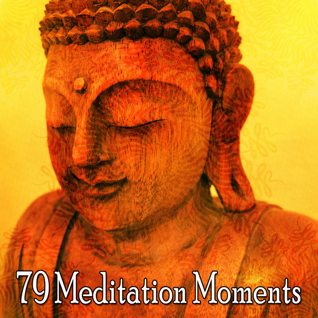 79 Meditation Moments cover art