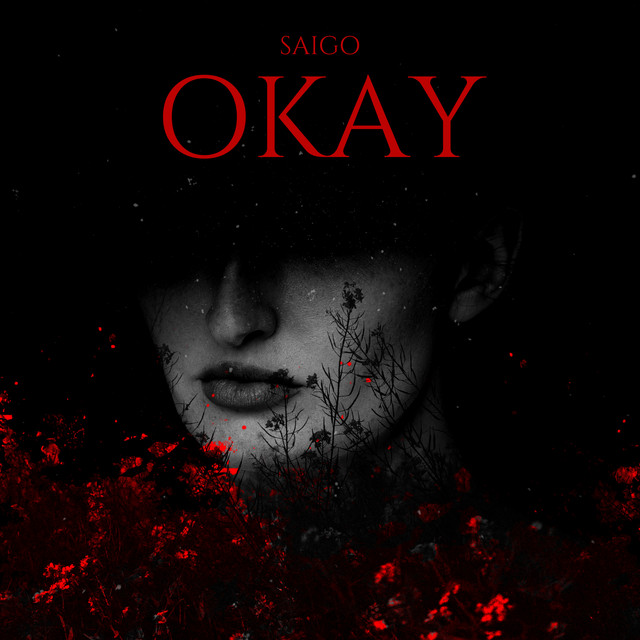 Okay (Remix) cover art