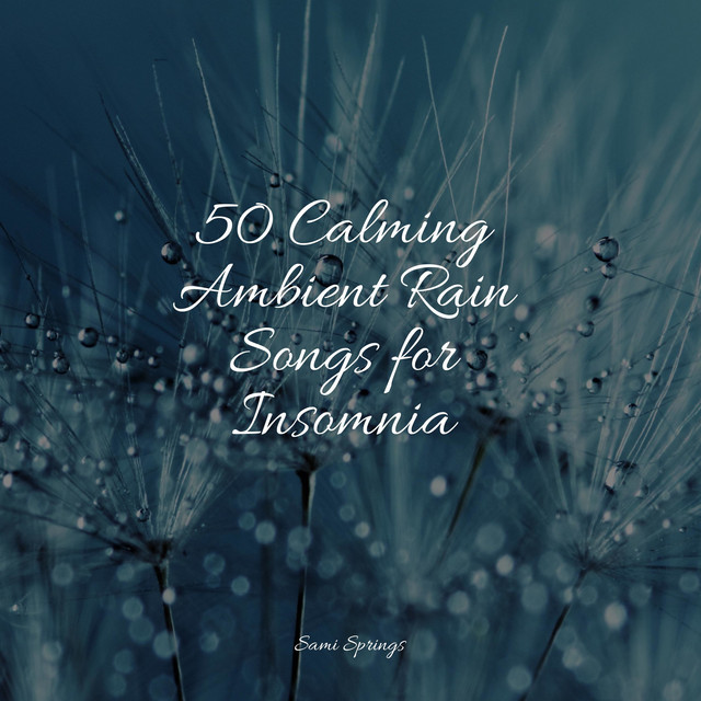 50 Calming Ambient Rain Songs for Insomnia - Album by Spa Music ...