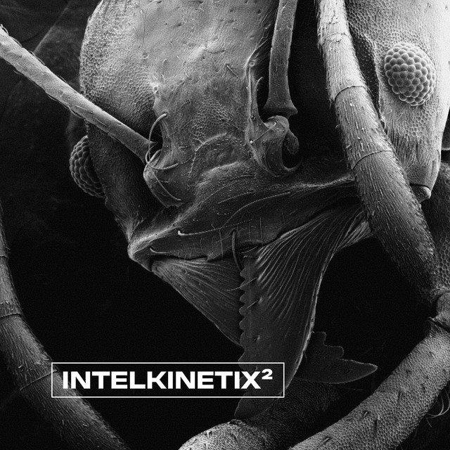 Intelkinetix² cover