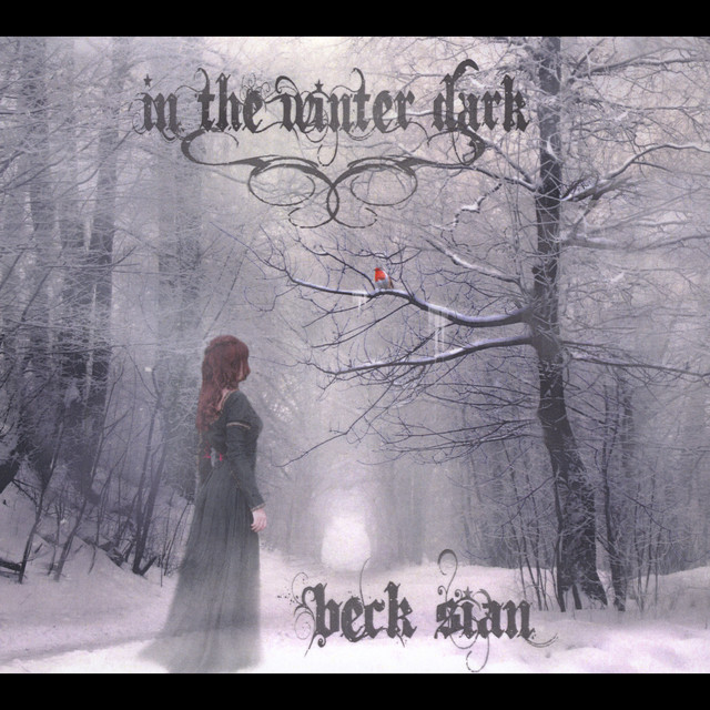 In the Winter Dark cover