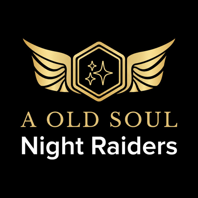 Night Raiders - Single by Old Soul | Spotify