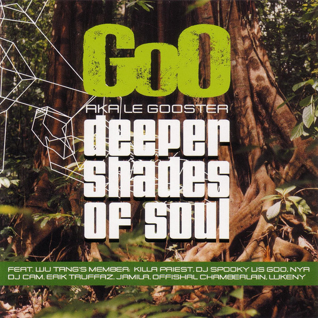 Deeper Shades Of Soul cover art
