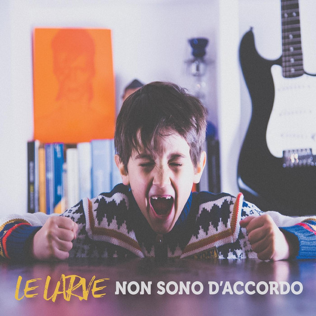 Non Sono D'accordo cover art