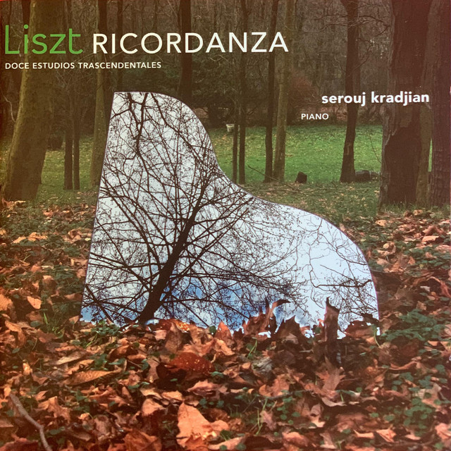 Liszt Ricordanza Doce Estudios Trascendentales cover art