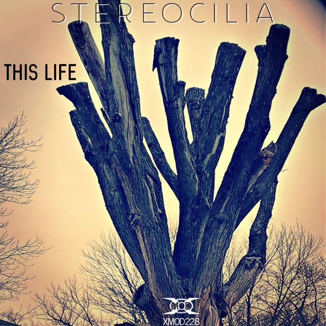 This Life album art