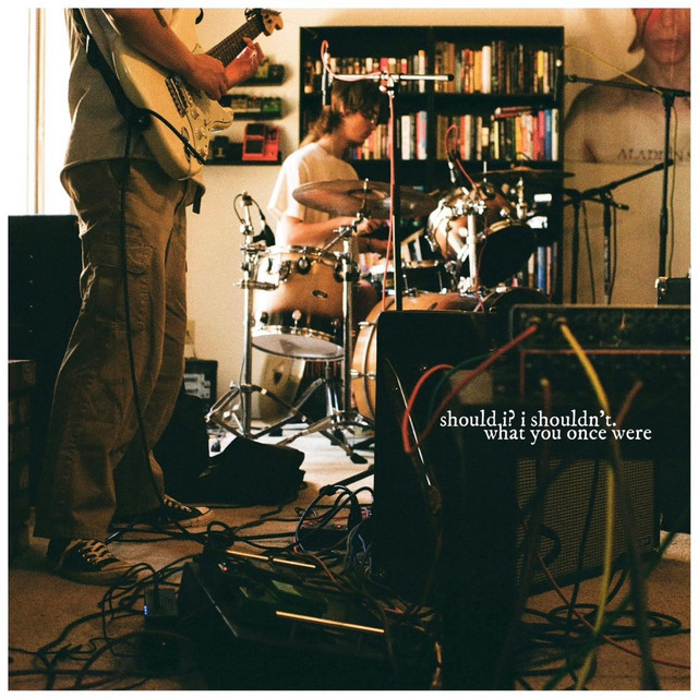 should i? i shouldn't. cover art